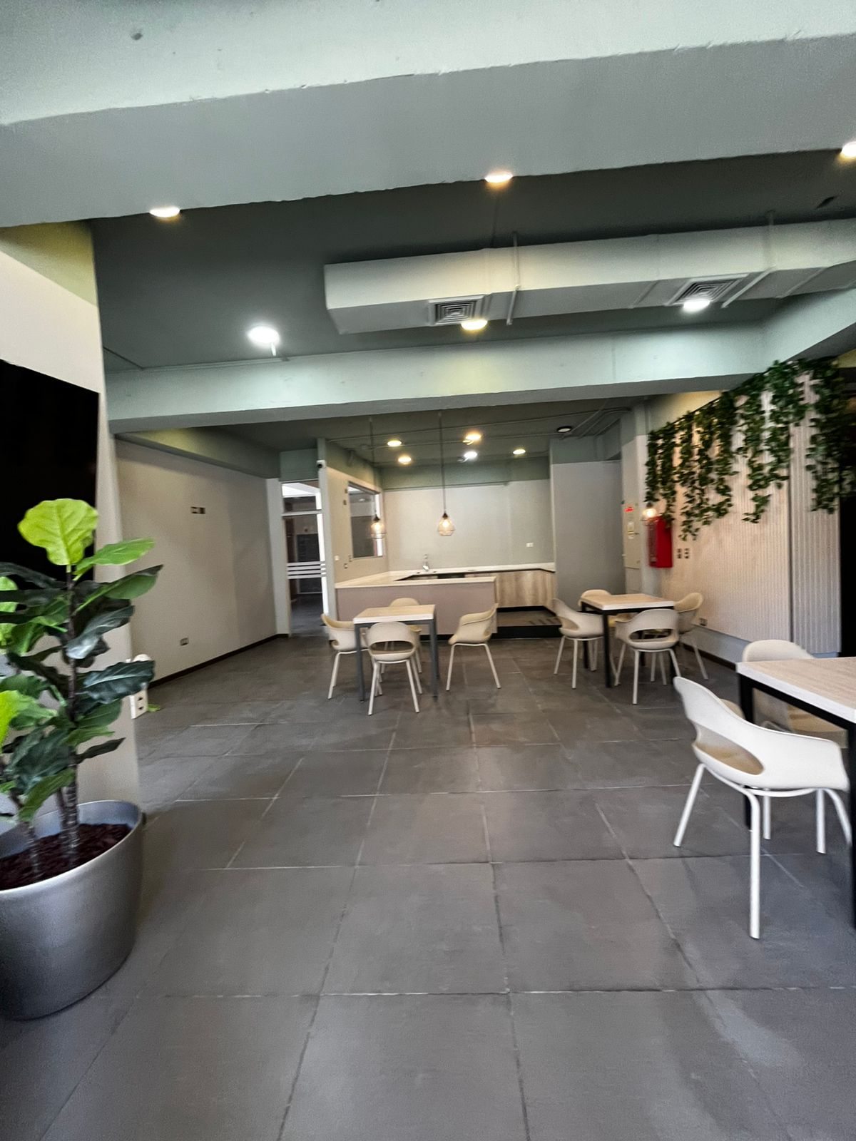 Comedor de la cafetería con mobiliario montado e iluminación decorativa, PUCV